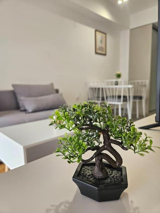 Milo Apartment Skopje Zewnętrze zdjęcie